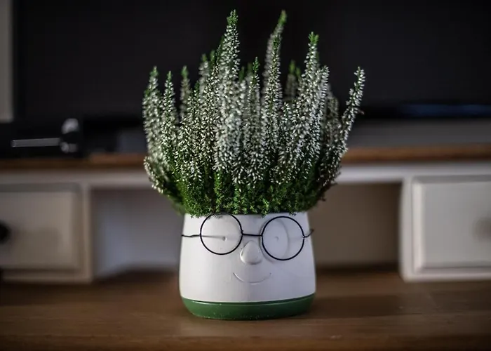 Rione Monti Home